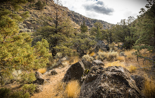 Discovering the Great Outdoors in Redmond’s Dry Canyon: A Family Adventure