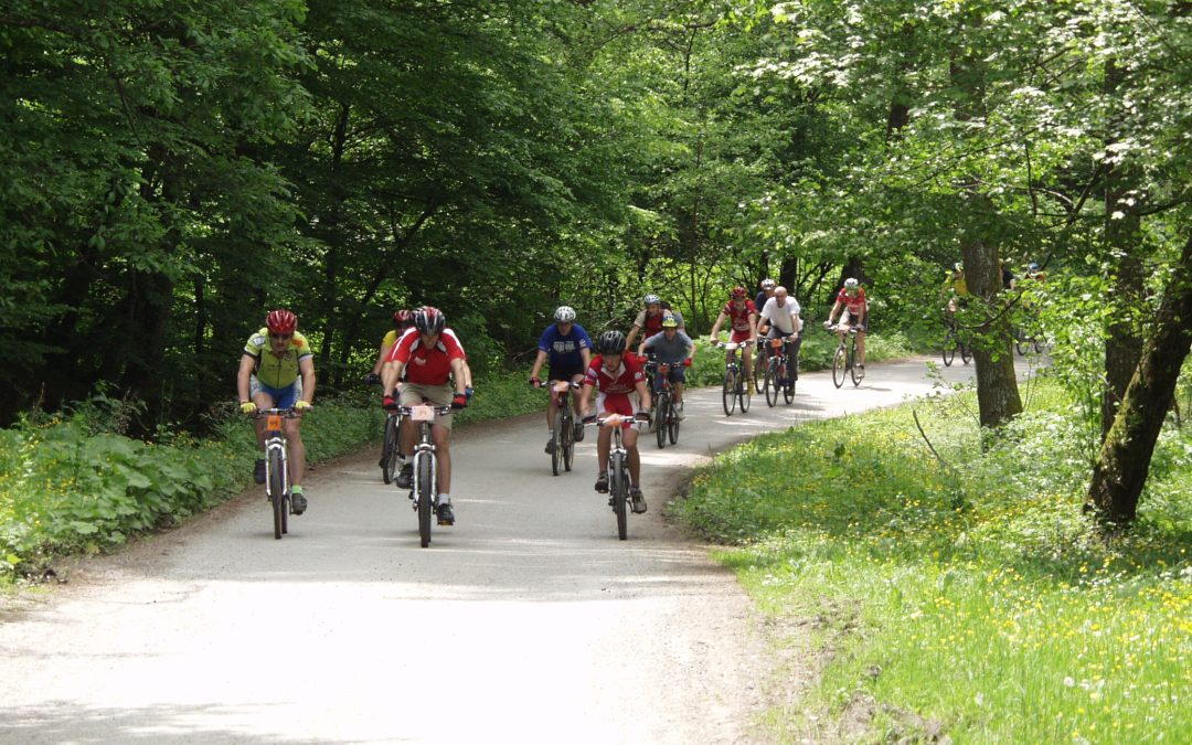 Year-Round Biking Adventures in Redmond:  Trails from Easy to Extreme